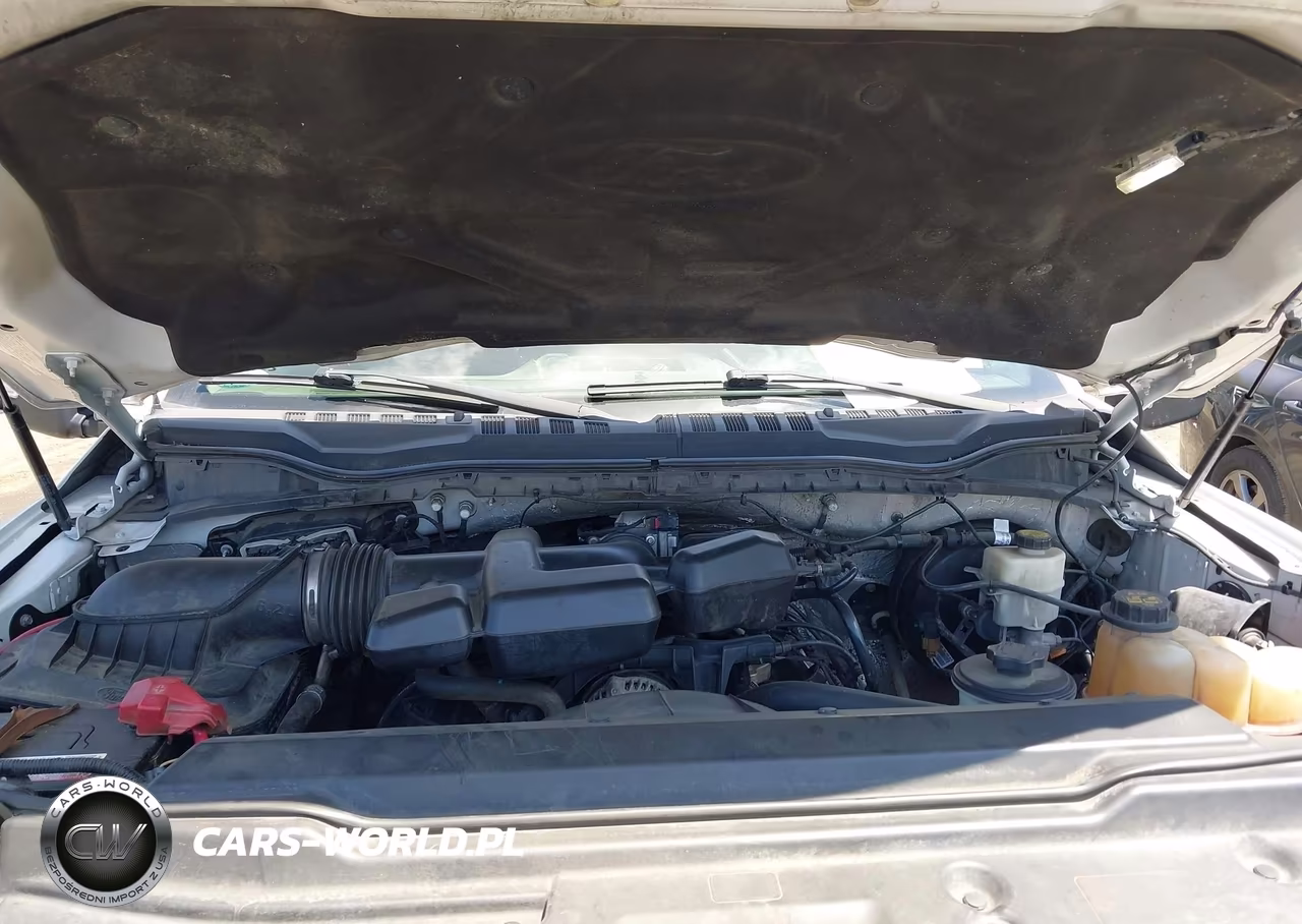 2017 Ford F-250 Xl VIN:1FT7X2B65HEB16171 - 10