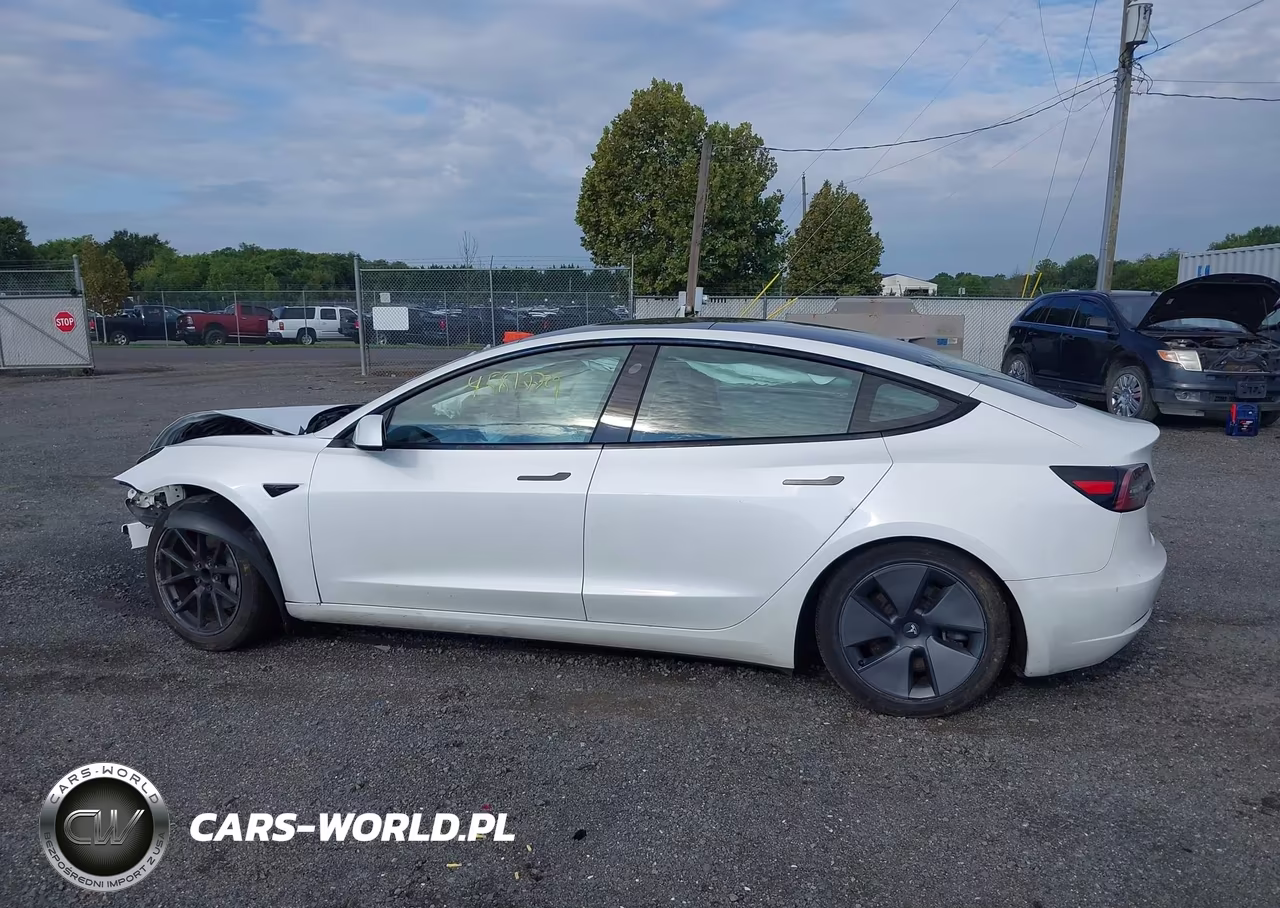2023 Tesla Model 3 Rear-Wheel Drive VIN:5YJ3E1EA5PF505100 - 14