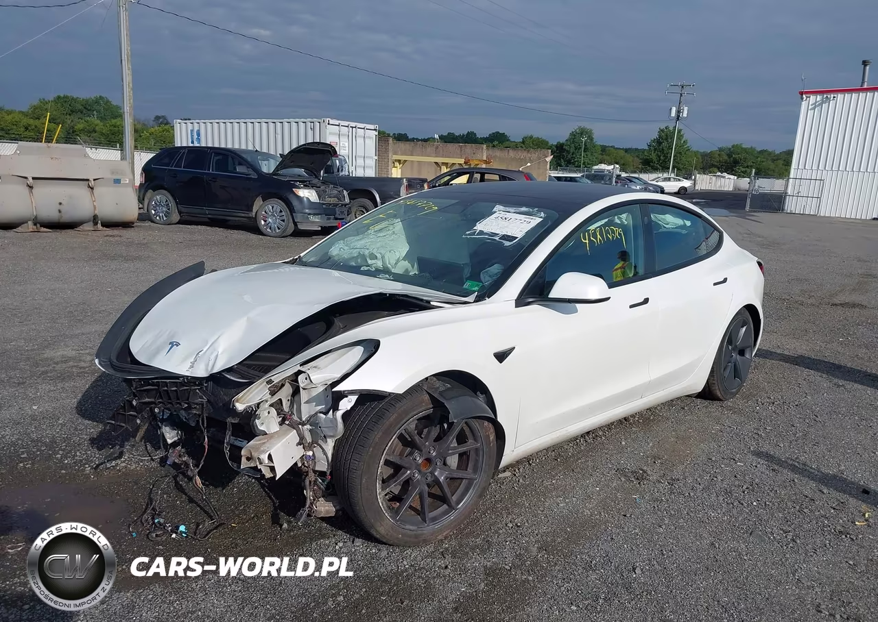 2023 Tesla Model 3 Rear-Wheel Drive VIN:5YJ3E1EA5PF505100 - 2