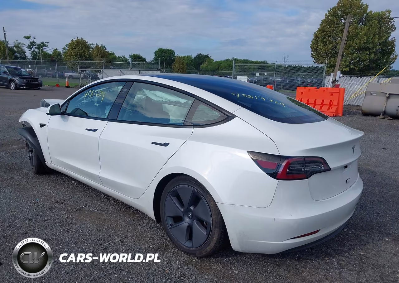 2023 Tesla Model 3 Rear-Wheel Drive VIN:5YJ3E1EA5PF505100 - 3