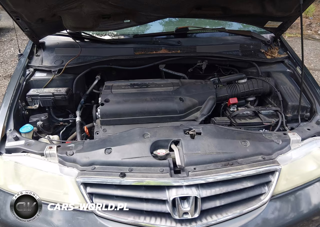 2004 Honda Odyssey Ex-L VIN:5FNRL180X4B066202 - 10