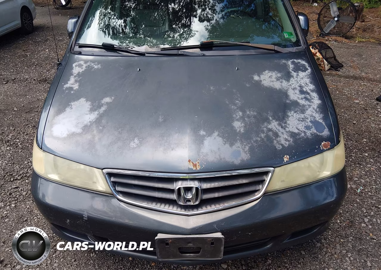 2004 Honda Odyssey Ex-L VIN:5FNRL180X4B066202 - 6