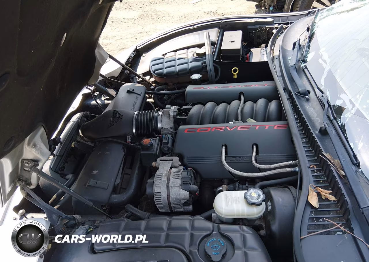 1998 Chevrolet Corvette VIN:1G1YY22G1W5106205 - 10