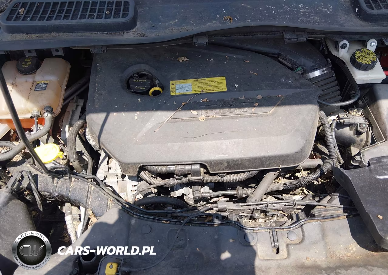 2013 Ford Escape Se VIN:1FMCU0GX2DUD48896 - 10