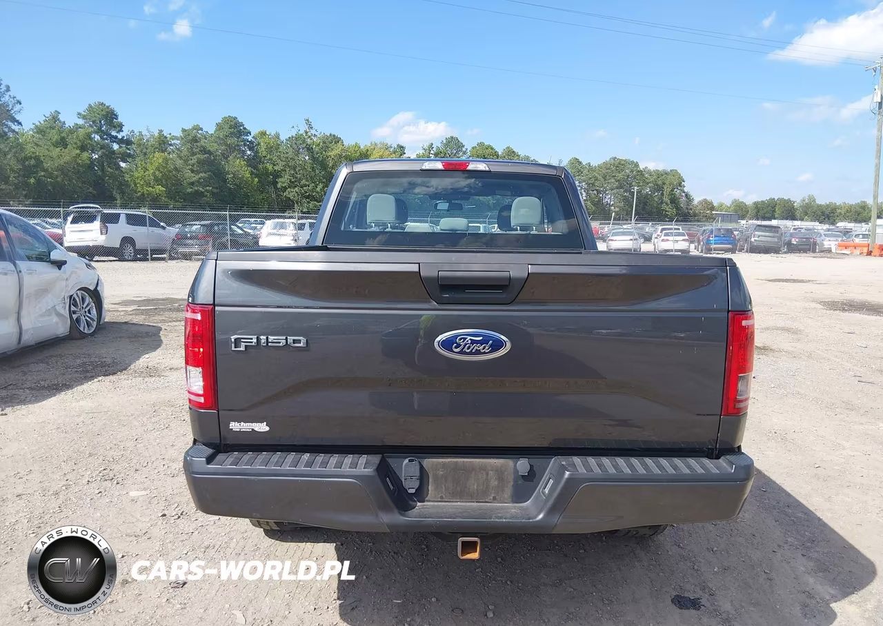 2016 Ford F-150 Xl VIN:1FTEX1EP6GFA28731 - 17