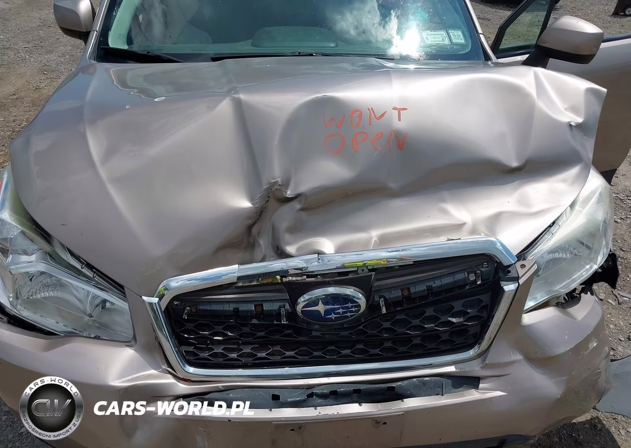 2016 Subaru Forester 2.5I Premium VIN:JF2SJADC6GH478503 - 10