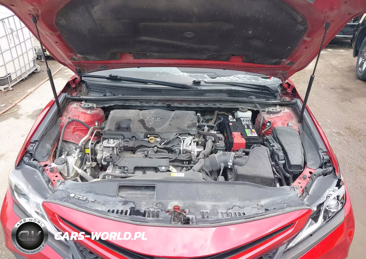 2019 Toyota Camry Se VIN:4T1B11HK1KU213807 - 10