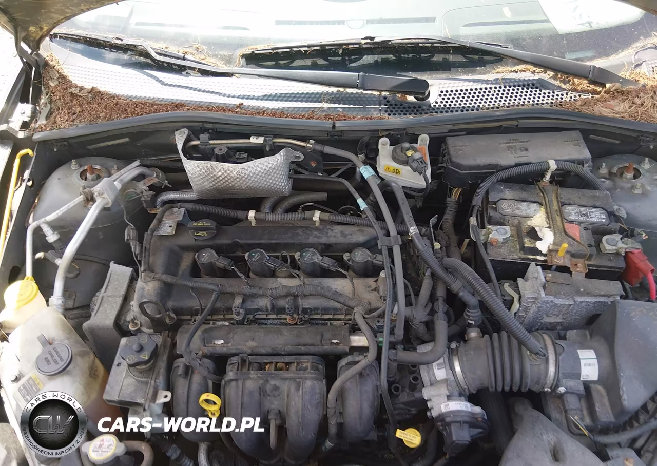 2011 Ford Focus Se VIN:1FAHP3FN7BW156786 - 10