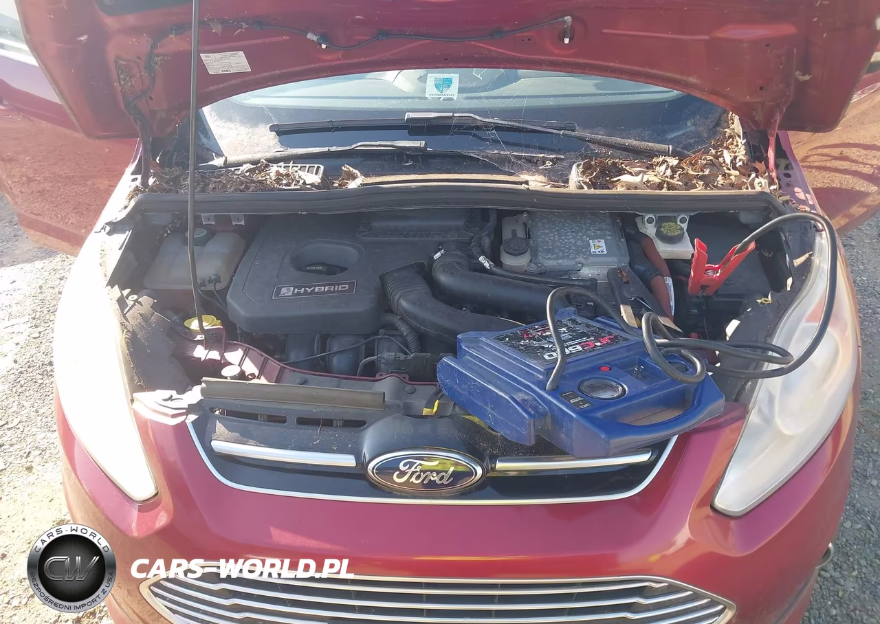 2013 Ford C-Max Hybrid Sel VIN:1FADP5BUXDL520937 - 10