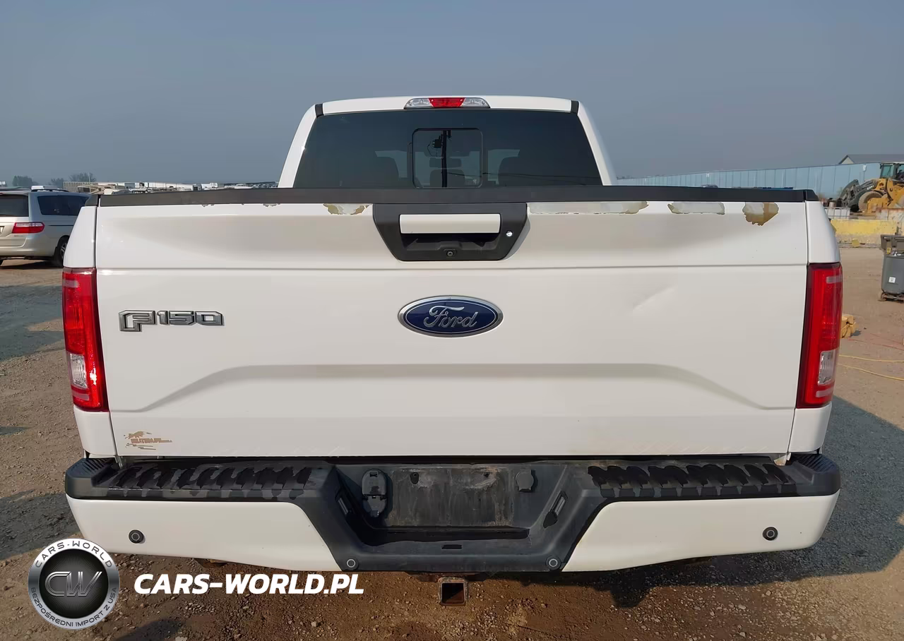2017 Ford F-150 Xlt VIN:1FTFW1EG3HKC74961 - 17