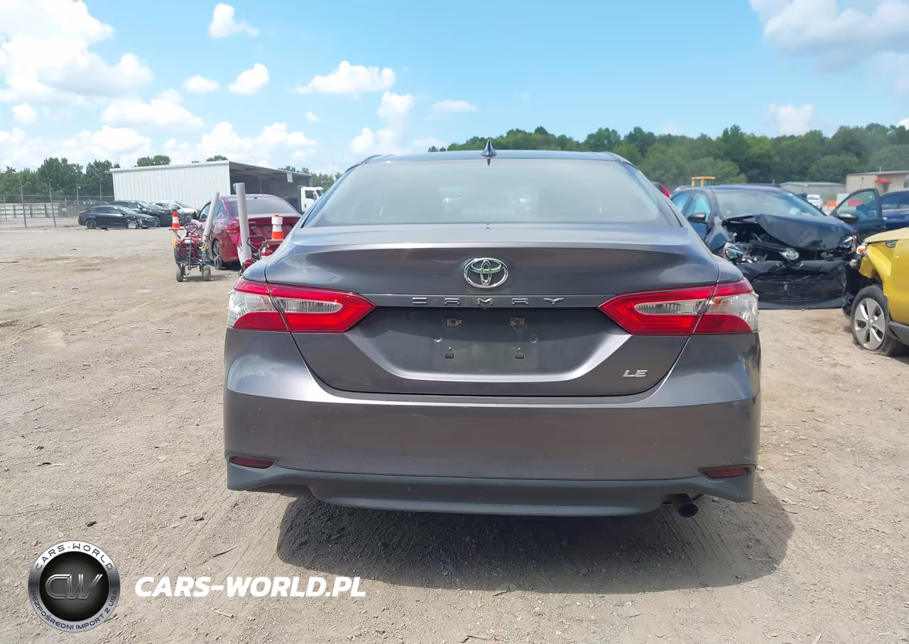 2020 Toyota Camry Le VIN:4T1C11AK0LU941750 - 17