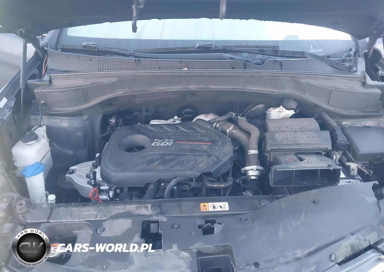 2018 Hyundai Santa Fe Sport 2.0T Ultimate VIN:5XYZW4LAXJG547886 - 10