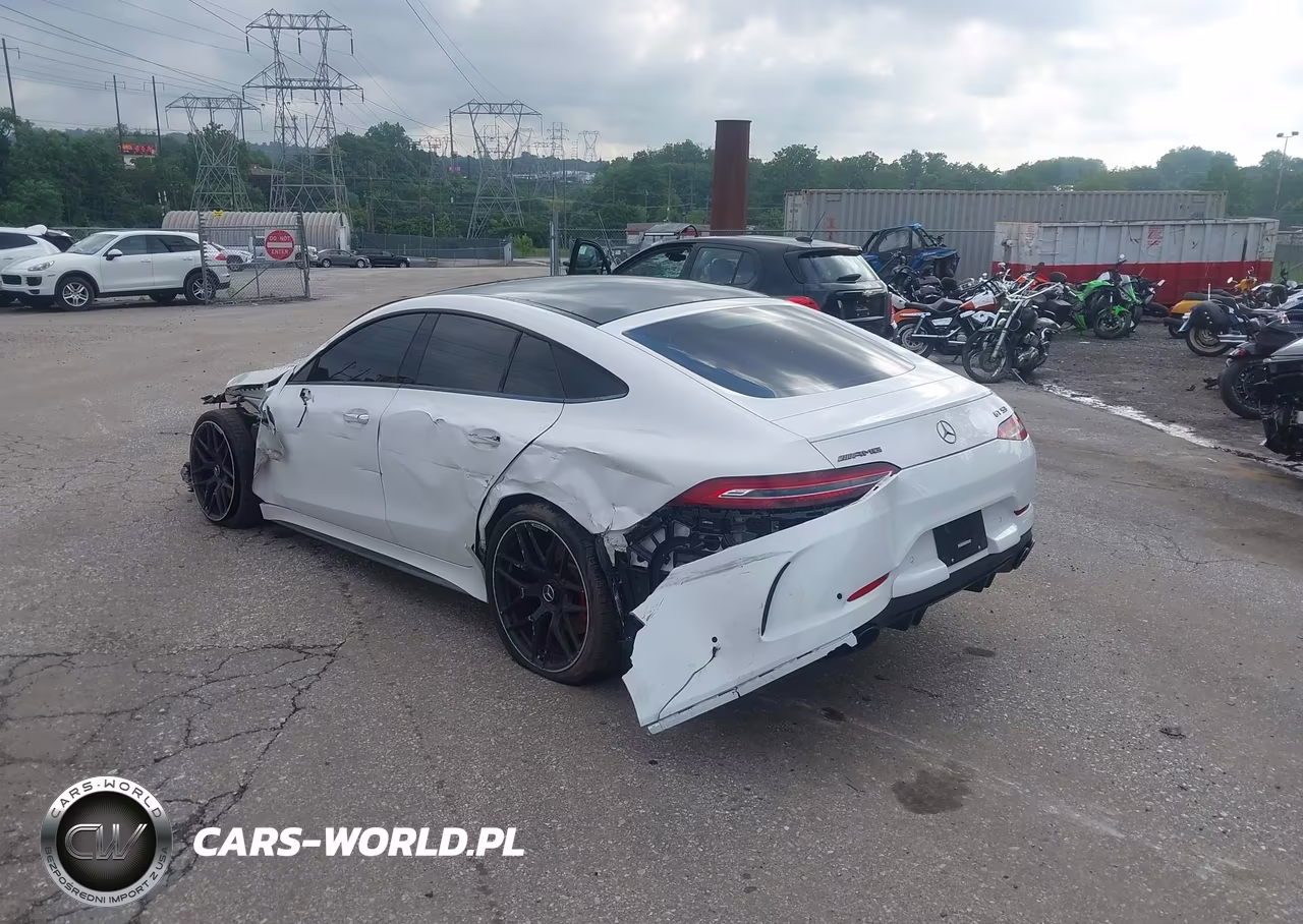 2024 Mercedes-Benz Amg Gt 53 4-Door Coupe VIN:W1K7X6BBXRV001688 - 19