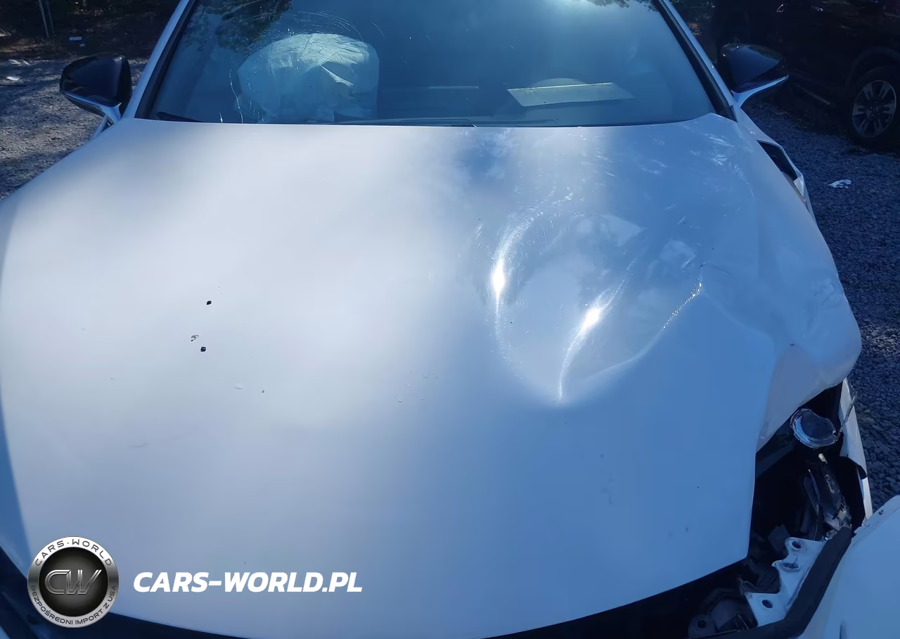 2021 Lexus Nx 300 F Sport VIN:JTJSARBZ4M5024040 - 10