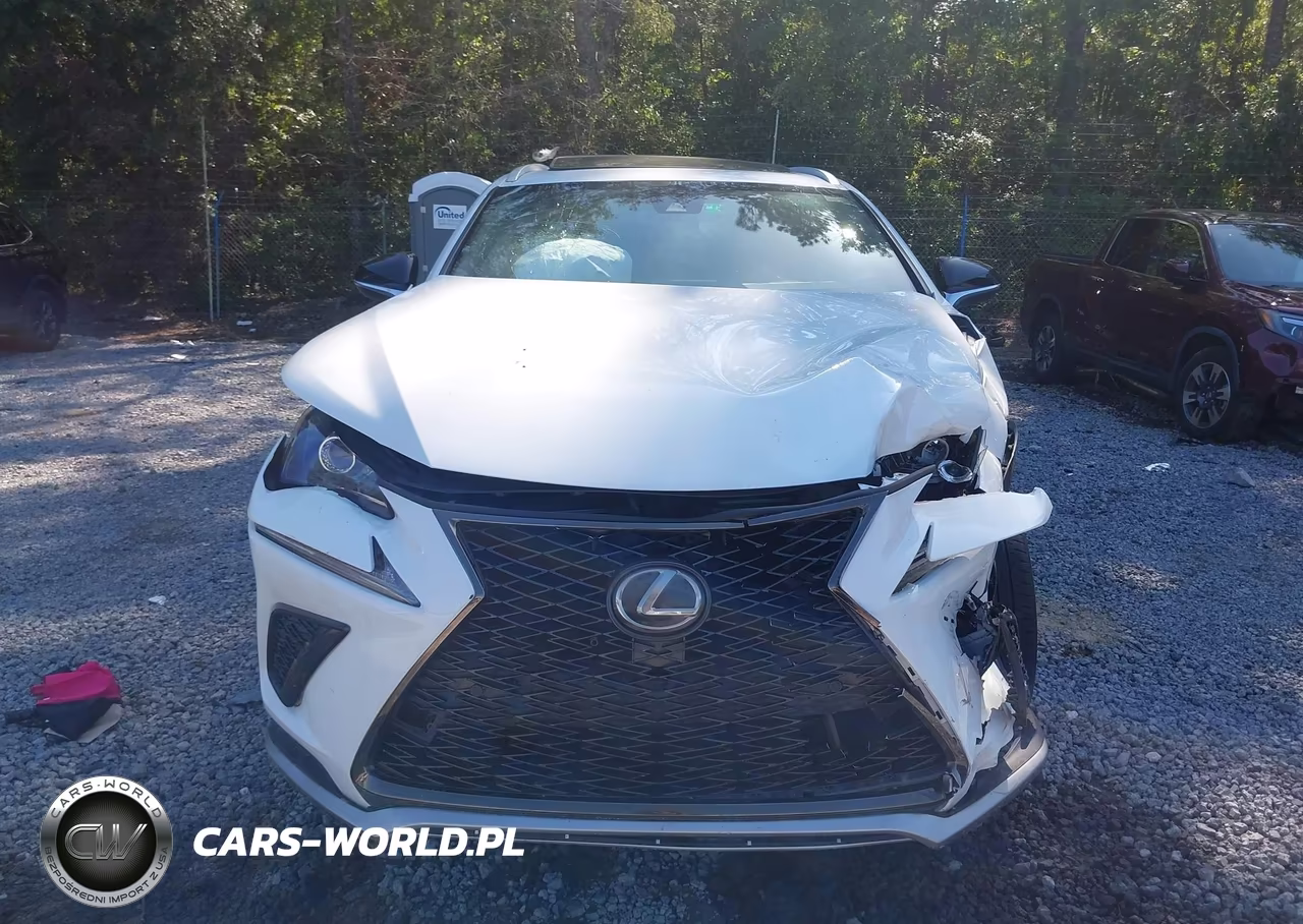 2021 Lexus Nx 300 F Sport VIN:JTJSARBZ4M5024040 - 12