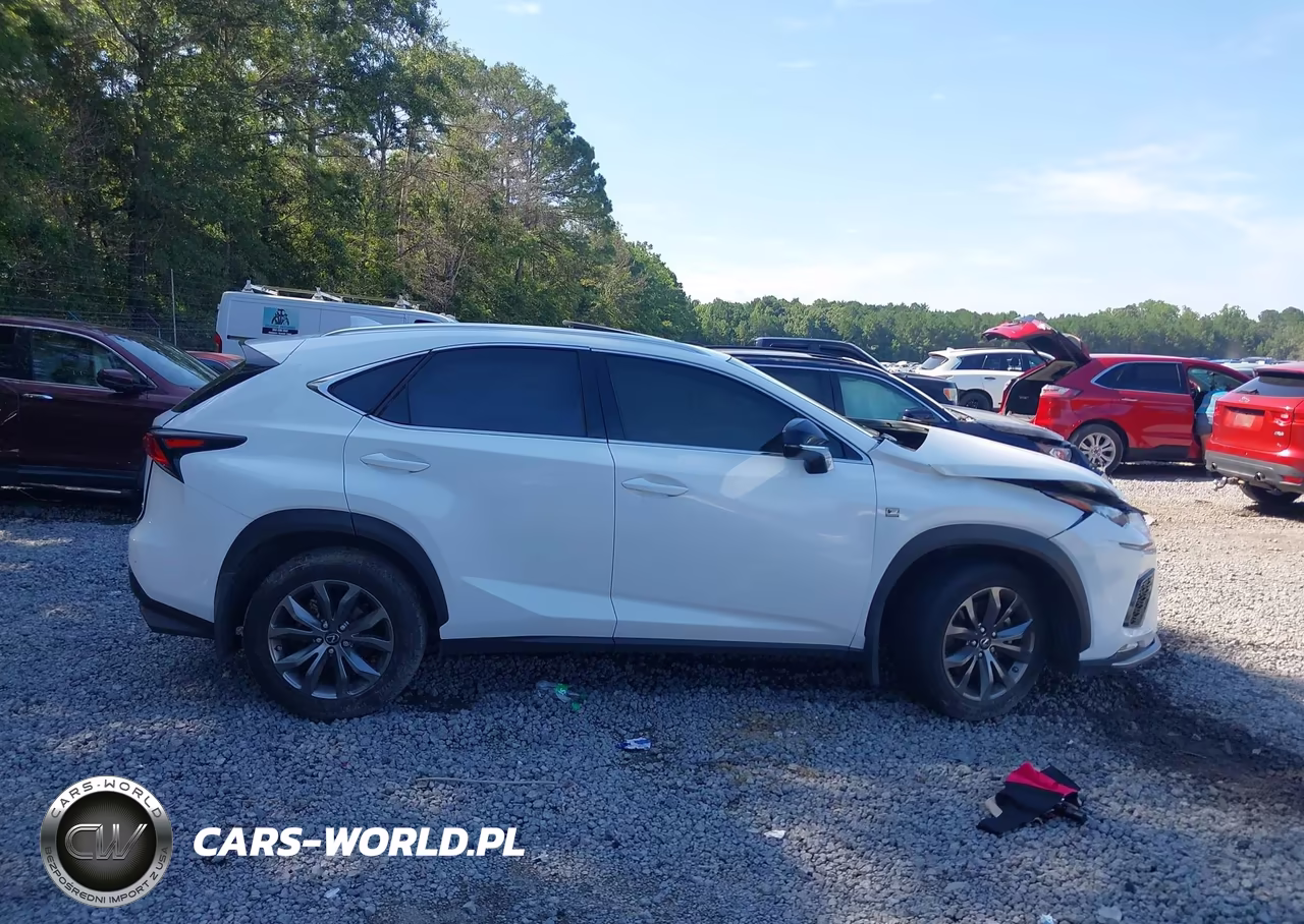 2021 Lexus Nx 300 F Sport VIN:JTJSARBZ4M5024040 - 13