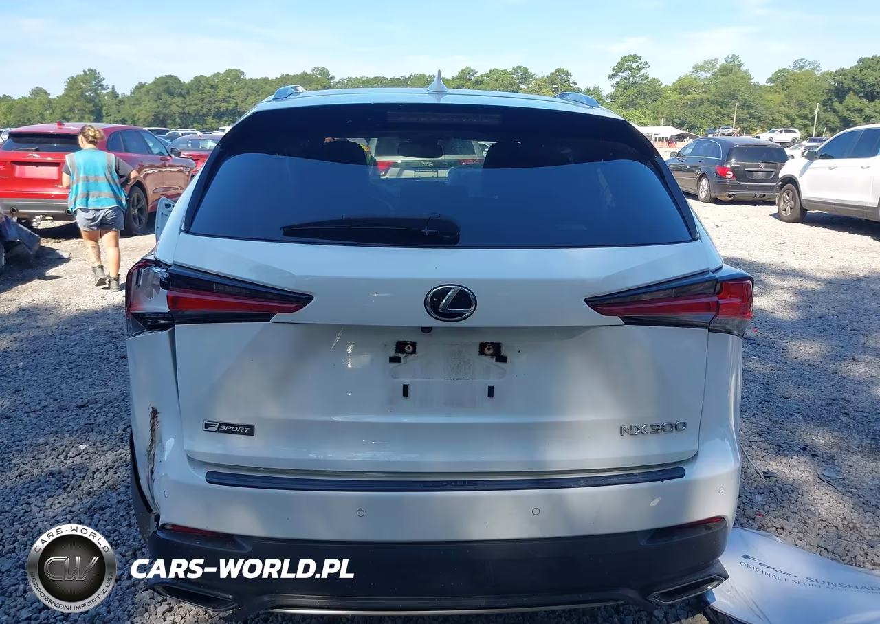 2021 Lexus Nx 300 F Sport VIN:JTJSARBZ4M5024040 - 16