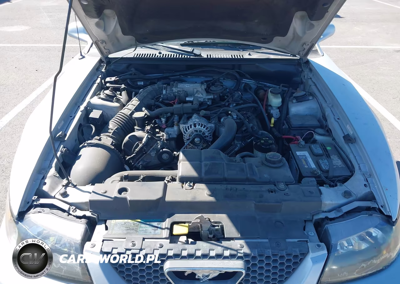 2004 Ford Mustang Gt VIN:1FAFP45X54F240656 - 10