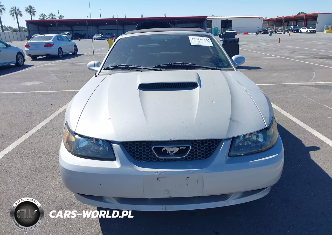 2004 Ford Mustang Gt VIN:1FAFP45X54F240656 - 12