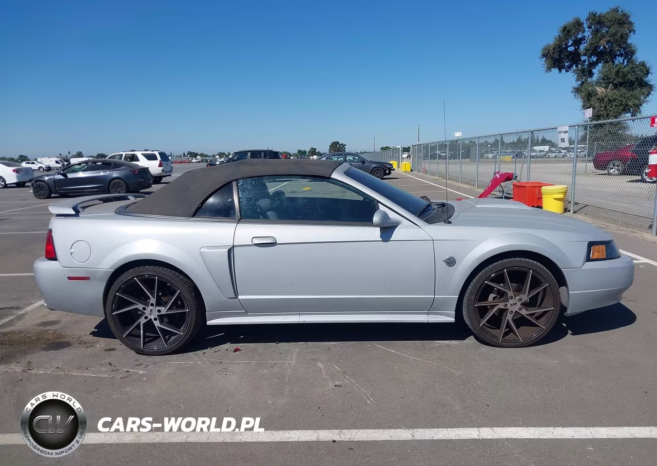 2004 Ford Mustang Gt VIN:1FAFP45X54F240656 - 13