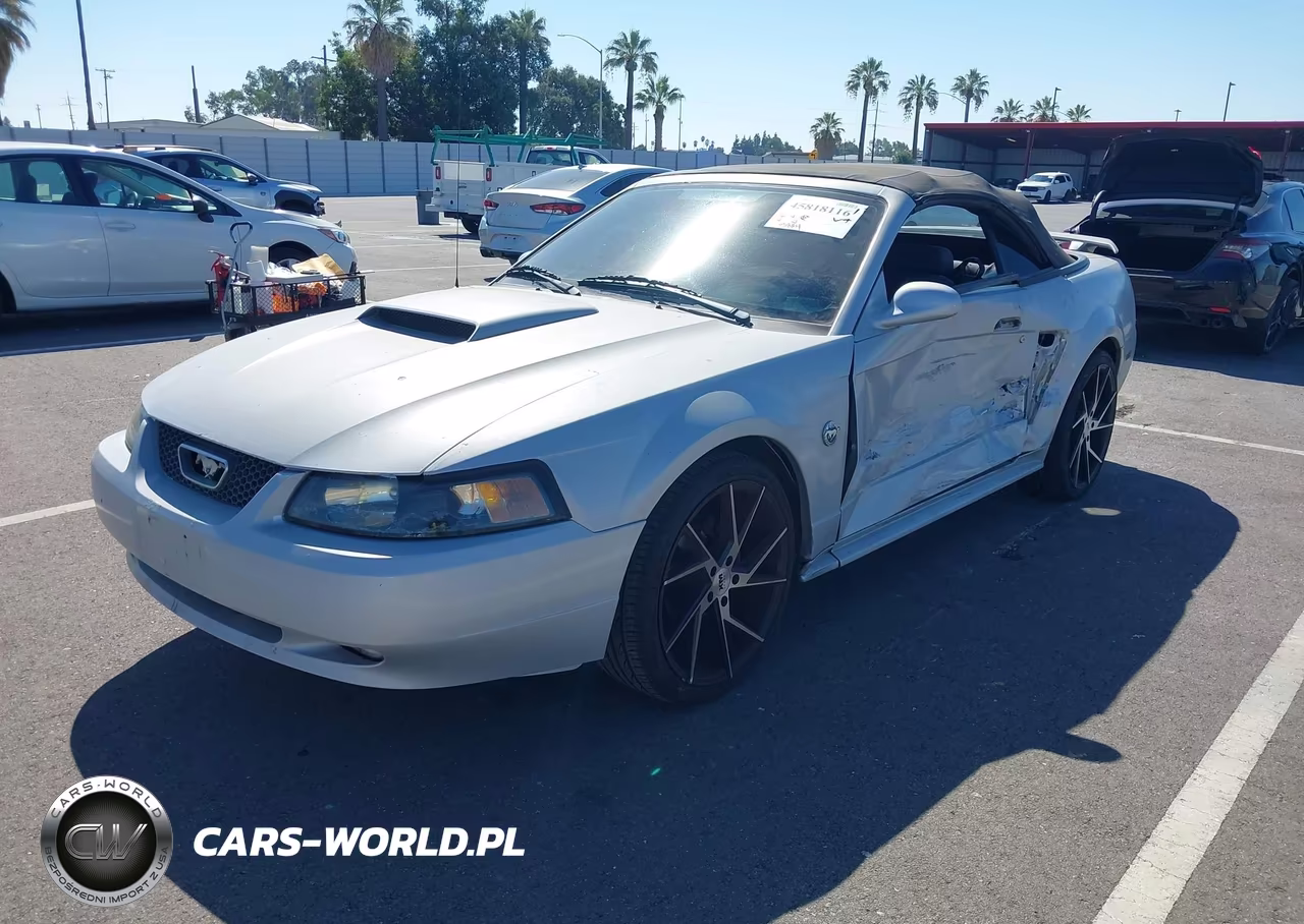 2004 Ford Mustang Gt VIN:1FAFP45X54F240656 - 2