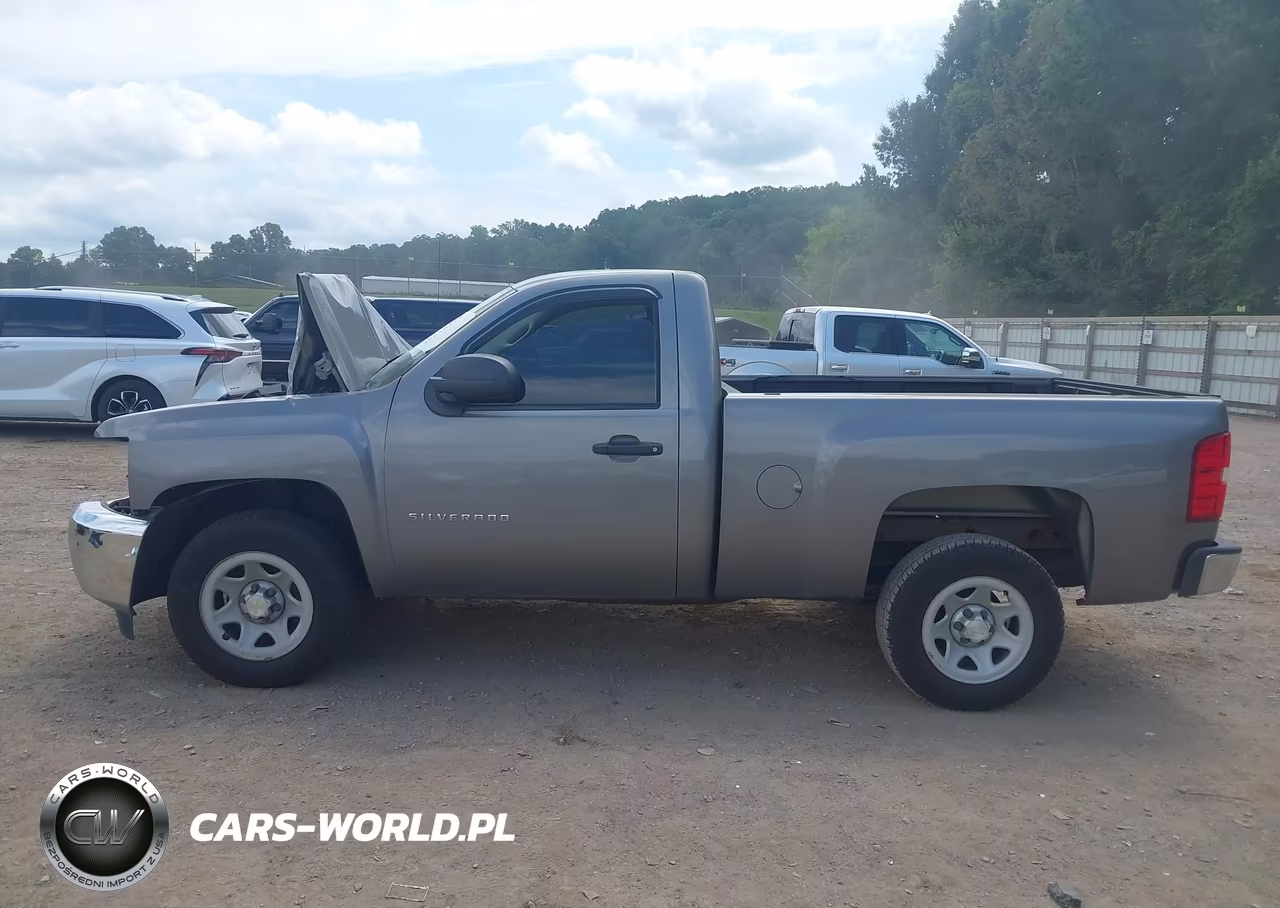 2013 Chevrolet Silverado 1500 Work Truck VIN:1GCNCPEX7DZ211497 - 14