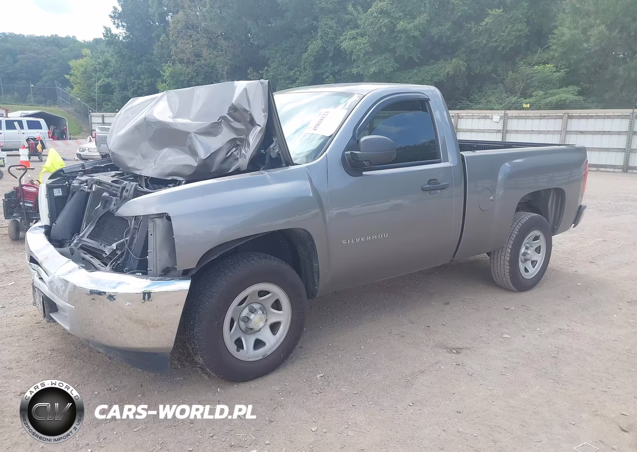 2013 Chevrolet Silverado 1500 Work Truck VIN:1GCNCPEX7DZ211497 - 2