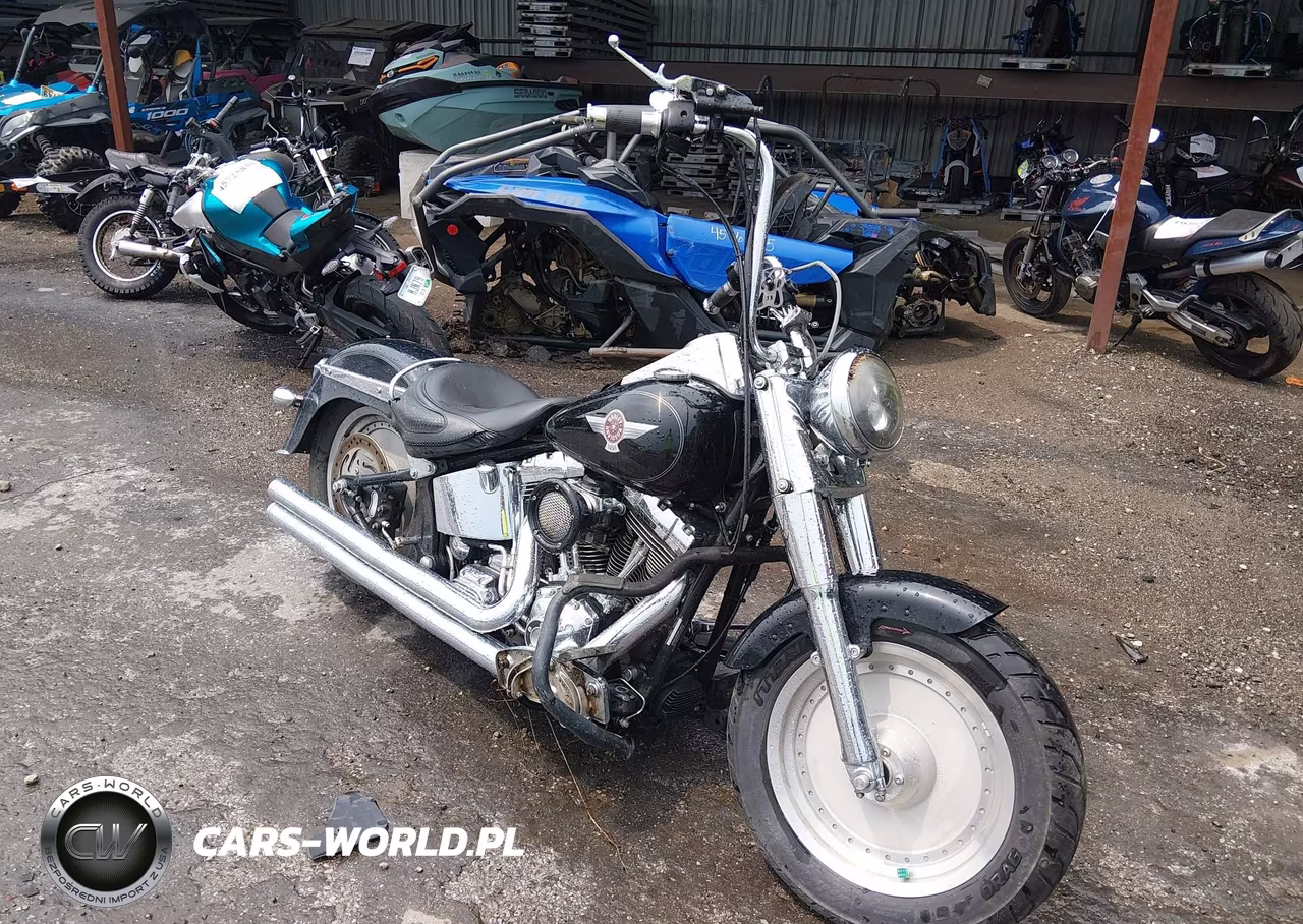 2005 Harley-Davidson Flstf