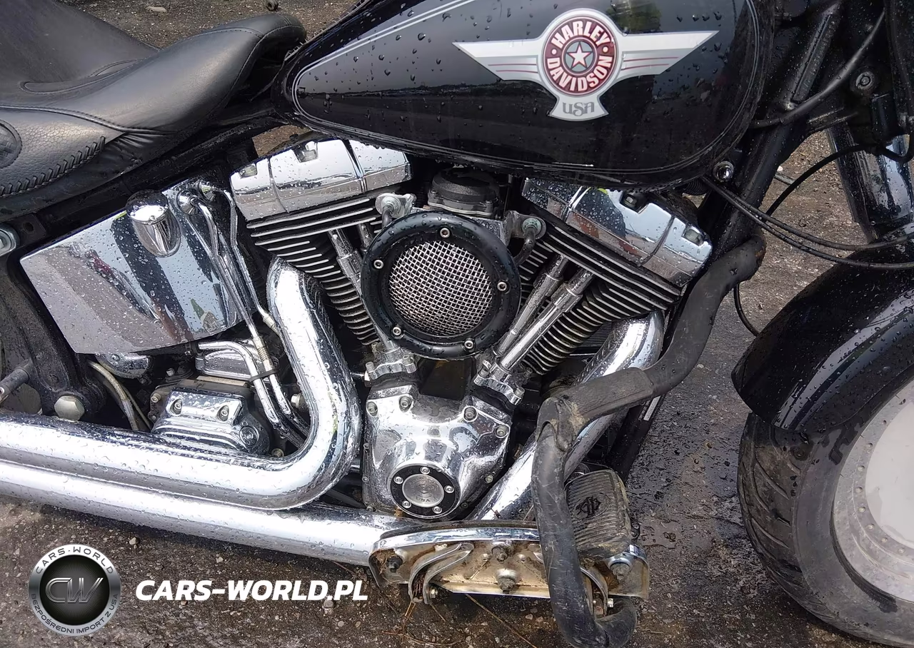2005 Harley-Davidson Flstf VIN:1HD1BMY185Y049604 - 8