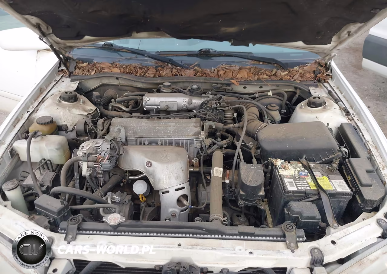 2000 Toyota Camry Le VIN:JT2BG22KXY0393511 - 10