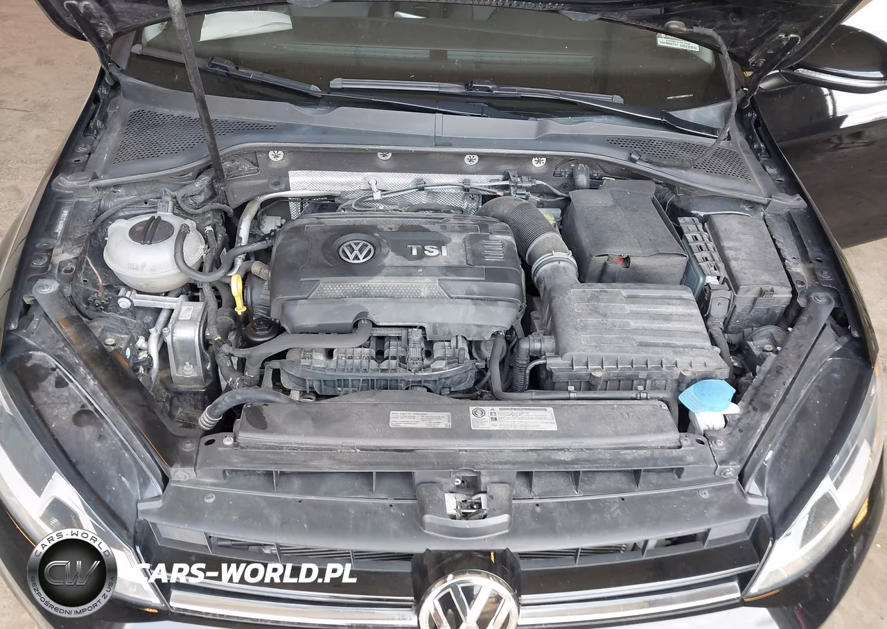 2016 Volkswagen Golf Tsi Se 4-Door VIN:3VW217AU3GM022143 - 10