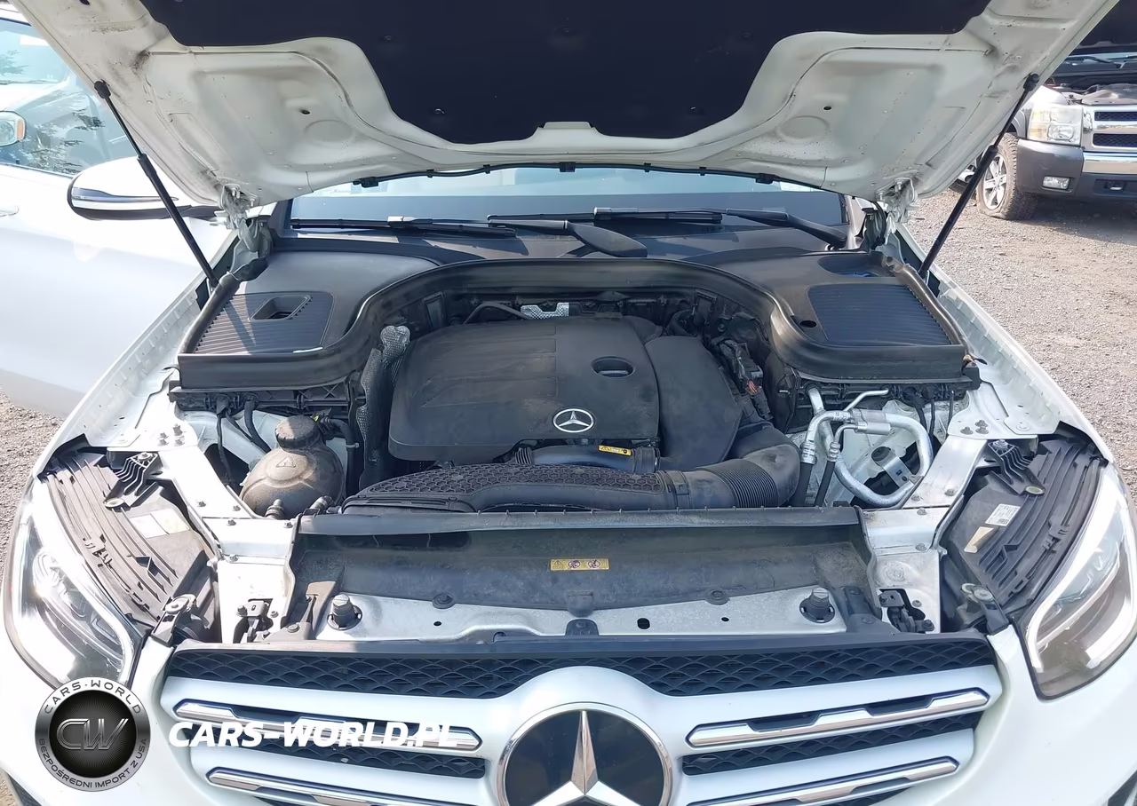 2020 Mercedes-Benz Glc 300 4Matic VIN:W1N0G8EBXLF819645 - 10