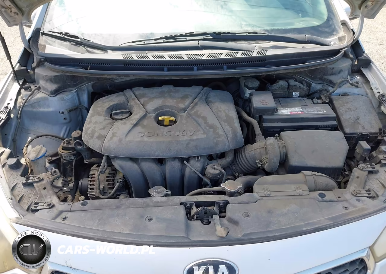 2015 Kia Forte Lx VIN:KNAFK4A6XF5426124 - 10