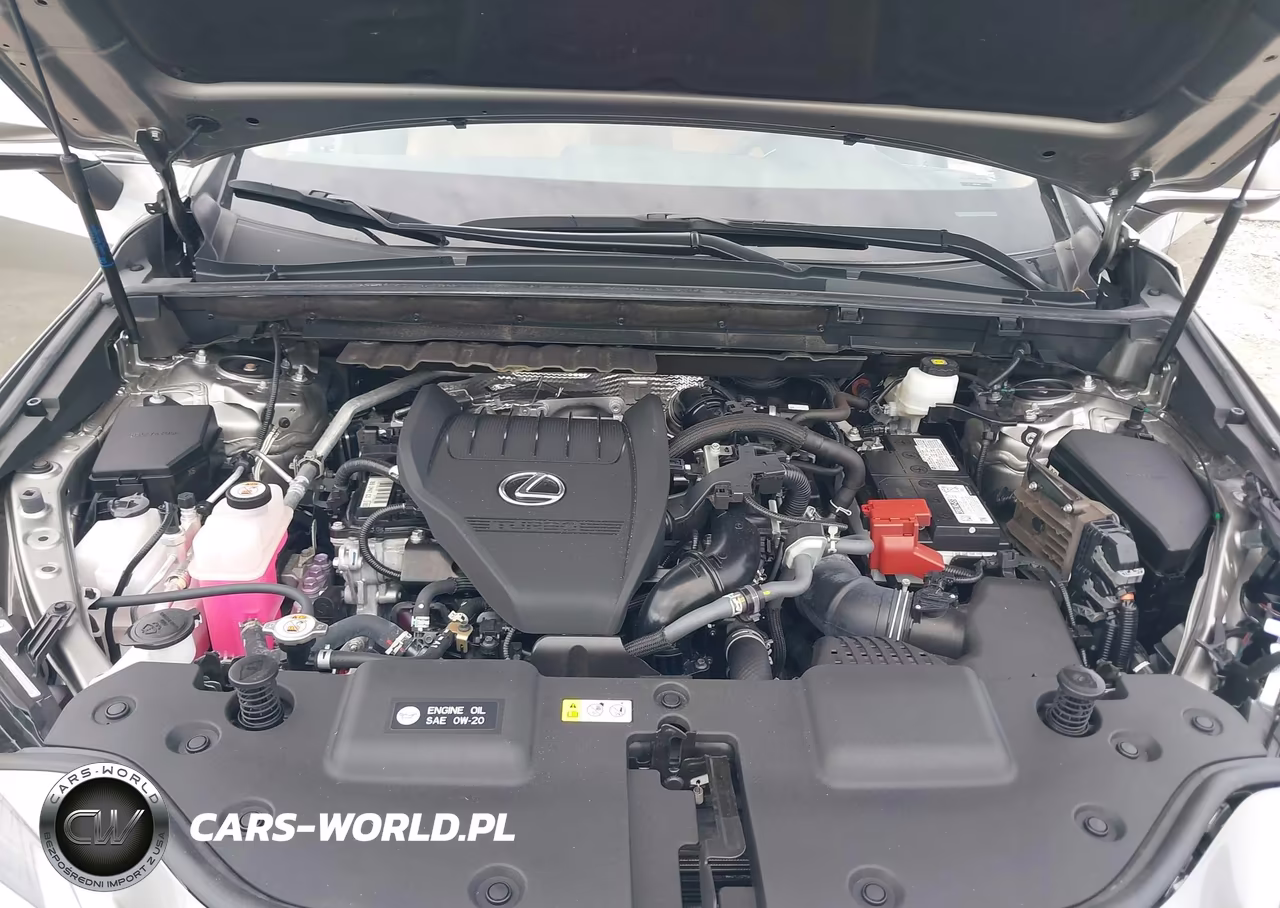 2023 Lexus Nx 350 Premium VIN:2T2GGCEZ3PC031564 - 10