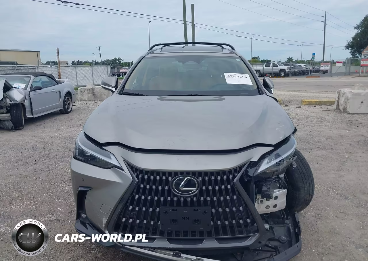 2023 Lexus Nx 350 Premium VIN:2T2GGCEZ3PC031564 - 13