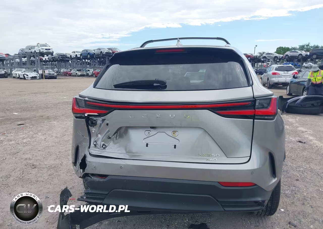 2023 Lexus Nx 350 Premium VIN:2T2GGCEZ3PC031564 - 17