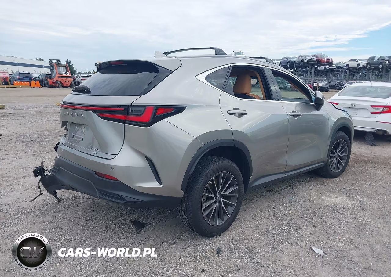 2023 Lexus Nx 350 Premium VIN:2T2GGCEZ3PC031564 - 4