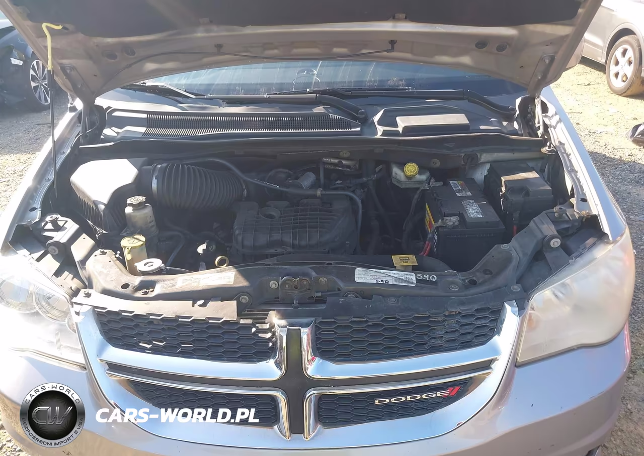 2017 Dodge Grand Caravan Sxt VIN:2C4RDGCGXHR790535 - 10