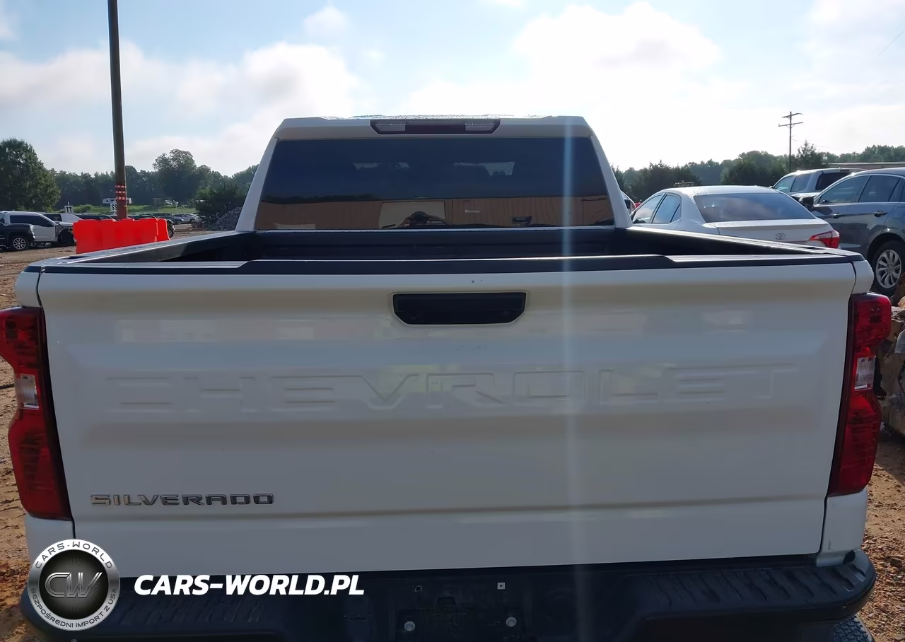 2023 Chevrolet Silverado 1500 2Wd Short Bed Wt VIN:3GCPAAEK4PG207007 - 16