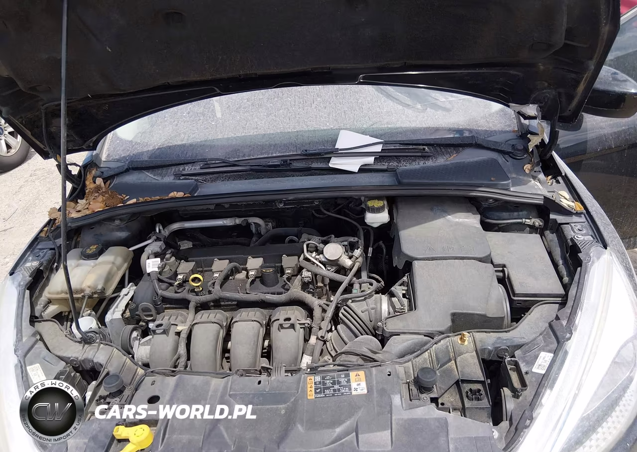2018 Ford Focus Se VIN:1FADP3K21JL282488 - 10