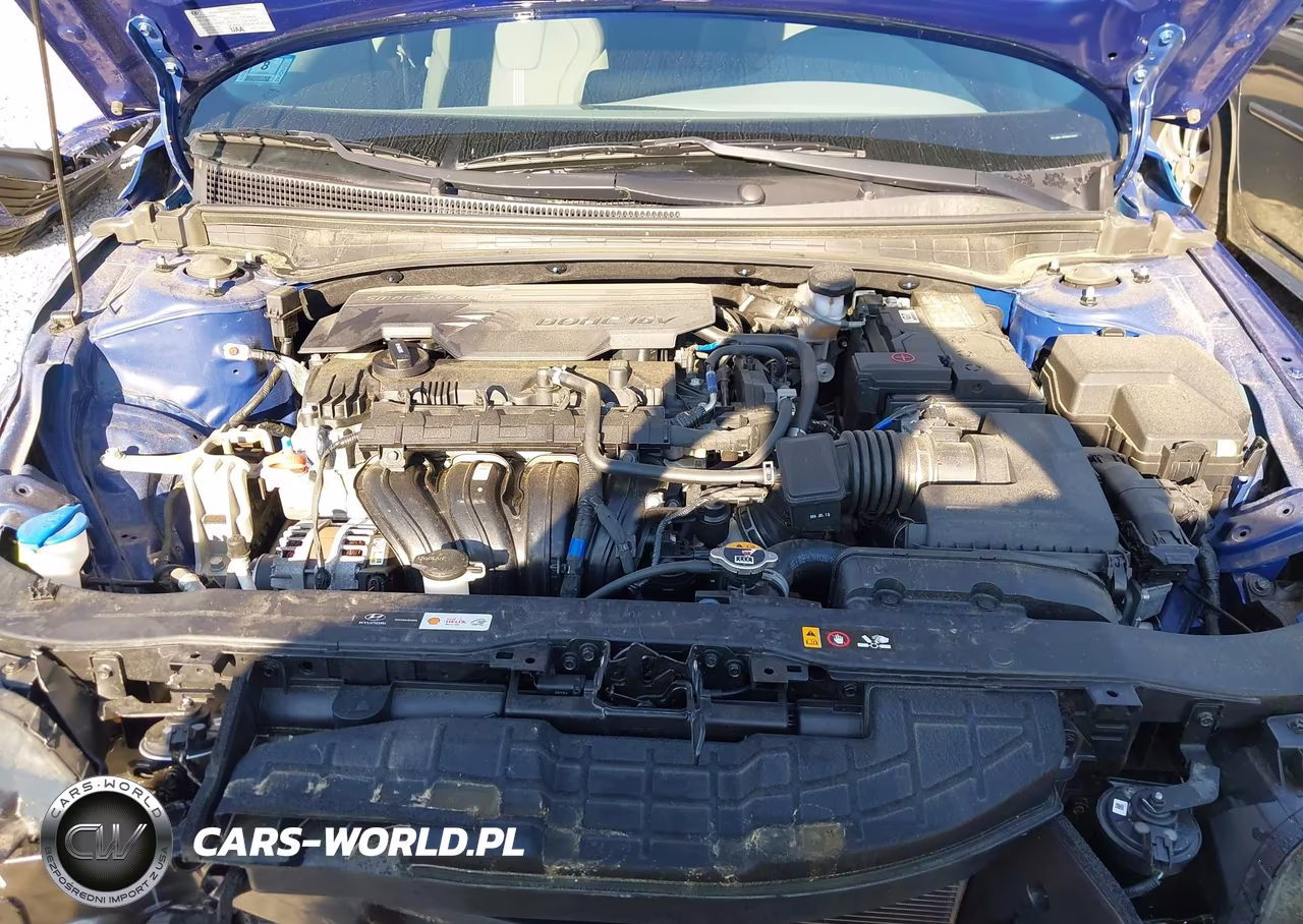 2024 Hyundai Elantra Se VIN:KMHLL4DGXRU818646 - 10