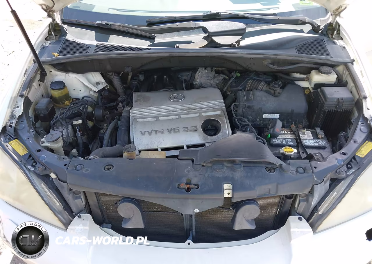 2006 Lexus Rx 330 VIN:2T2HA31UX6C105643 - 10