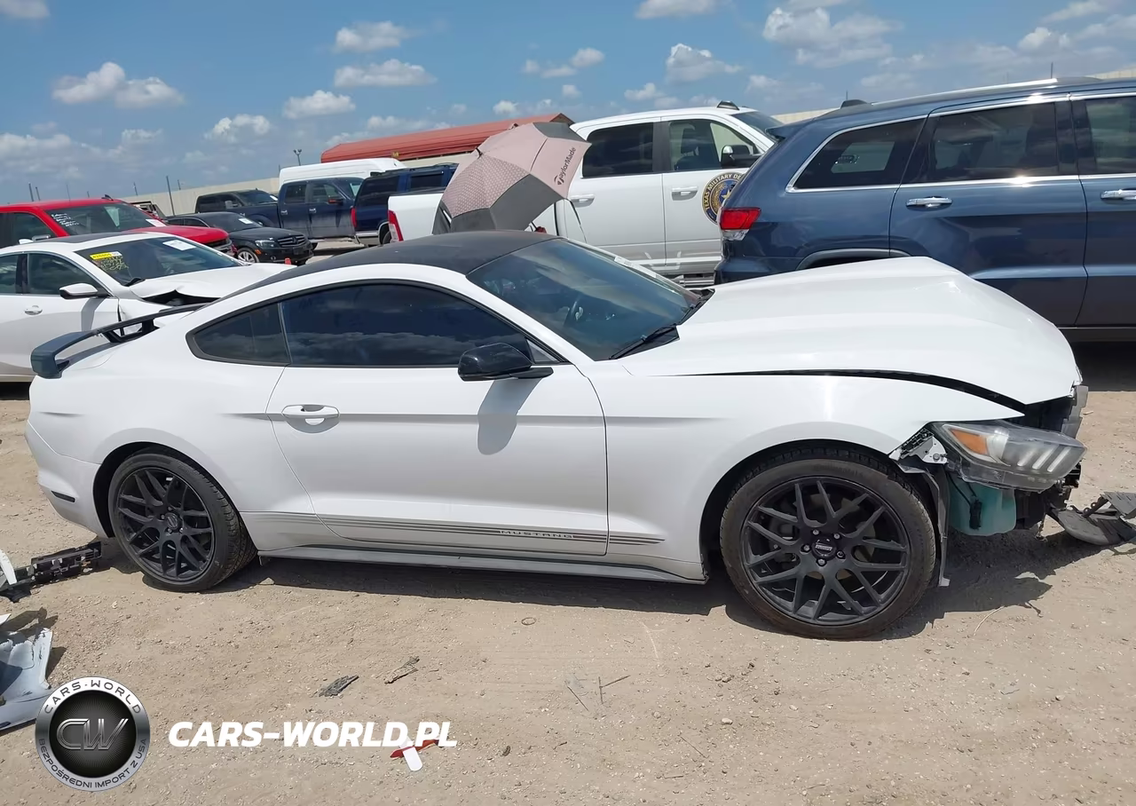 2017 Ford Mustang Ecoboost VIN:1FA6P8TH4H5244678 - 14