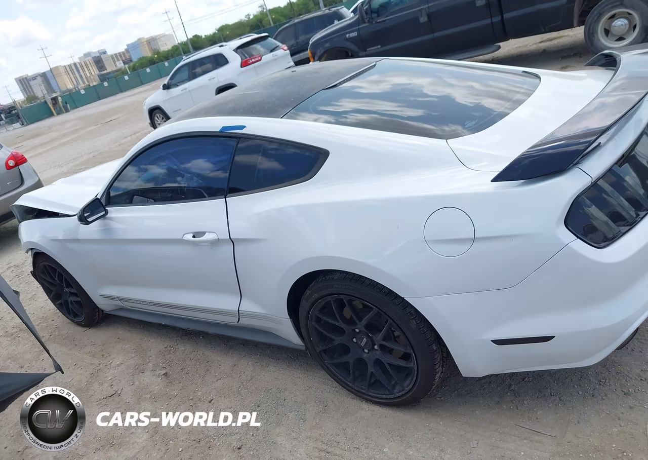 2017 Ford Mustang Ecoboost VIN:1FA6P8TH4H5244678 - 15