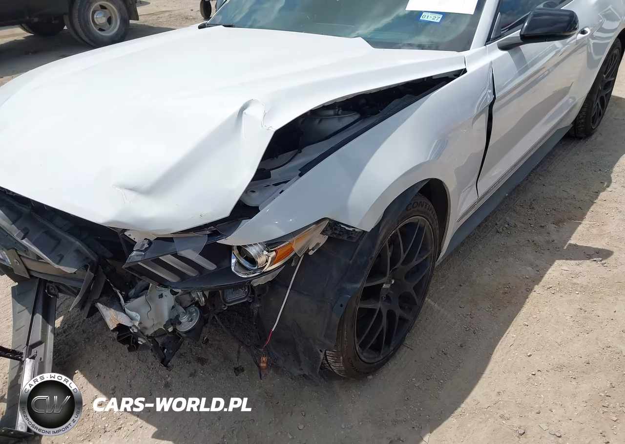 2017 Ford Mustang Ecoboost VIN:1FA6P8TH4H5244678 - 18