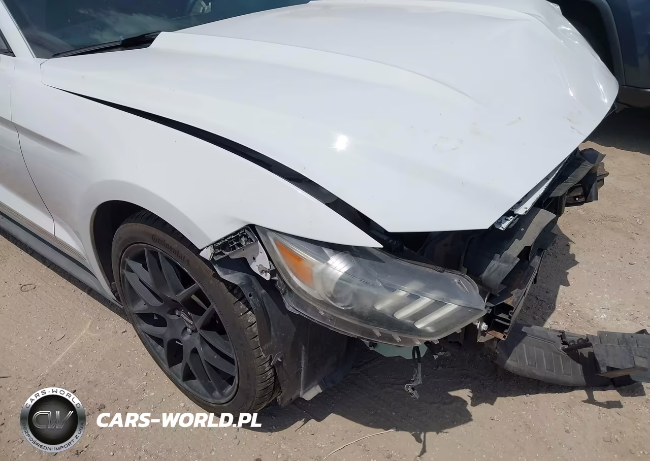 2017 Ford Mustang Ecoboost VIN:1FA6P8TH4H5244678 - 21