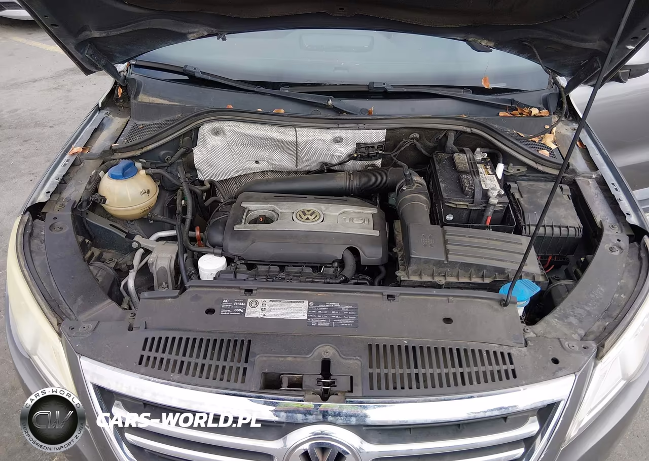 2010 Volkswagen Tiguan S-Se-Sel-Wolfsburg Edition VIN:WVGAV7AX8AW533864 - 9