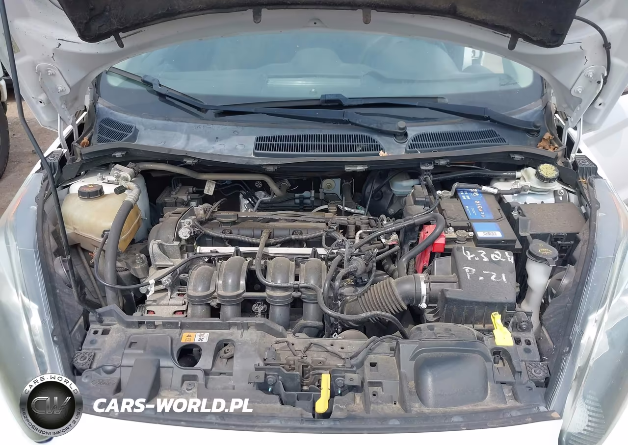 2014 Ford Fiesta Se VIN:3FADP4BJ3EM107032 - 10