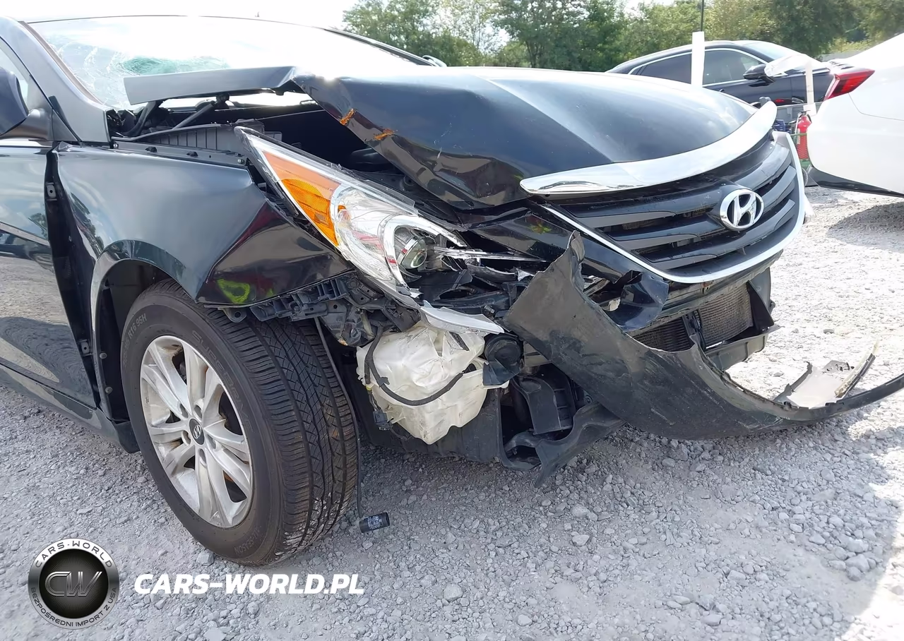 2014 Hyundai Sonata Gls VIN:5NPEB4AC5EH901584 - 21