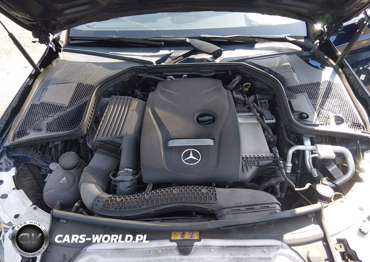 2017 Mercedes-Benz C 300 VIN:WDDWK4JB4HF522611 - 10